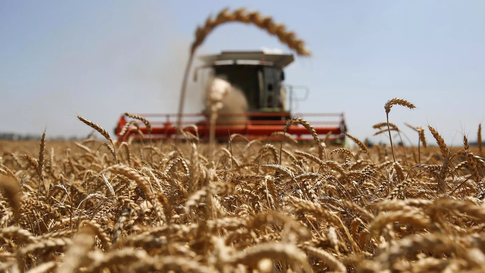 ЕС ввел заградительные пошлины на зерно из России и Белоруссии