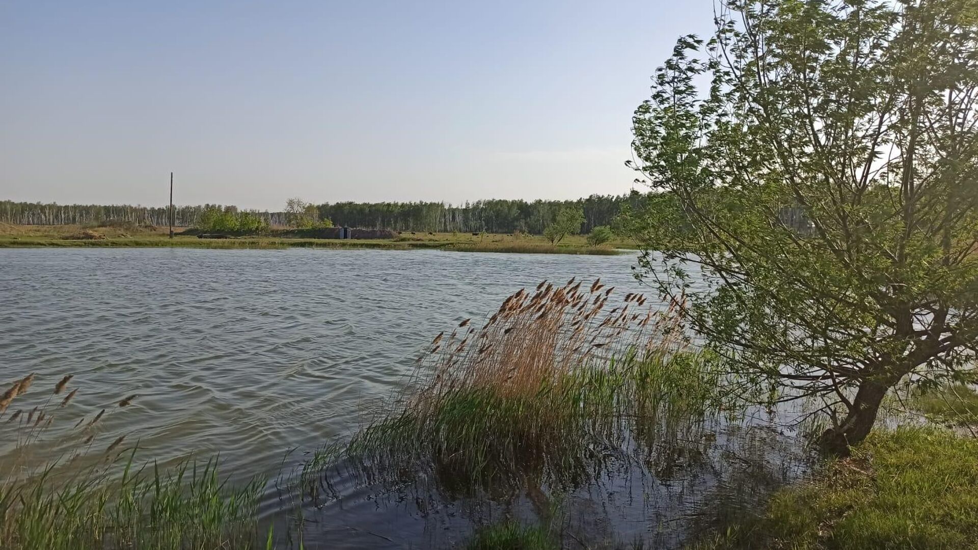 Подросток утонул в котловане, заполненном водой, под селом Азово в Омской области - РИА Новости, 1920, 27.05.2022