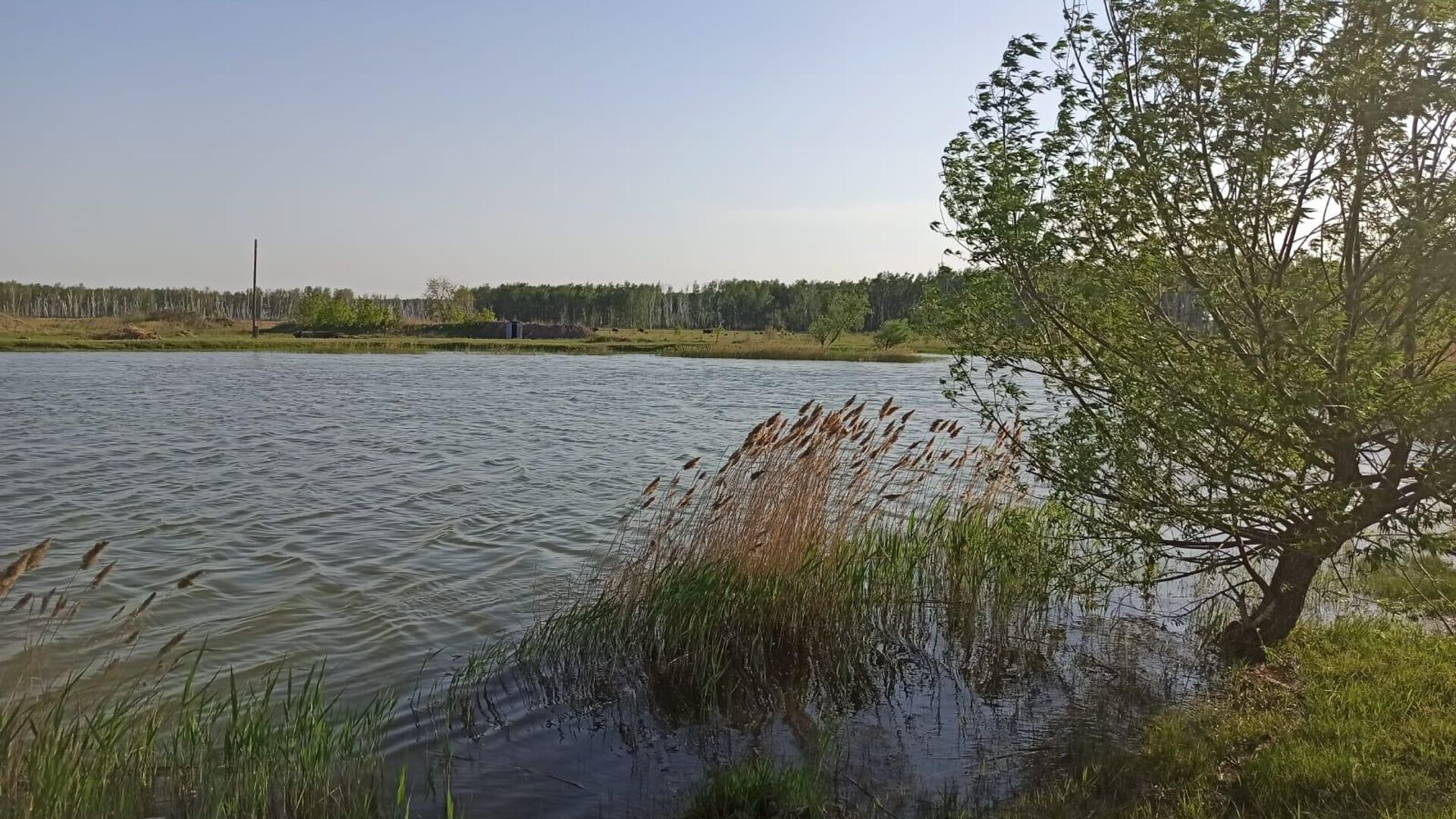 Подросток утонул в котловане, заполненном водой, под селом Азово в Омской области - РИА Новости, 1920, 27.05.2022