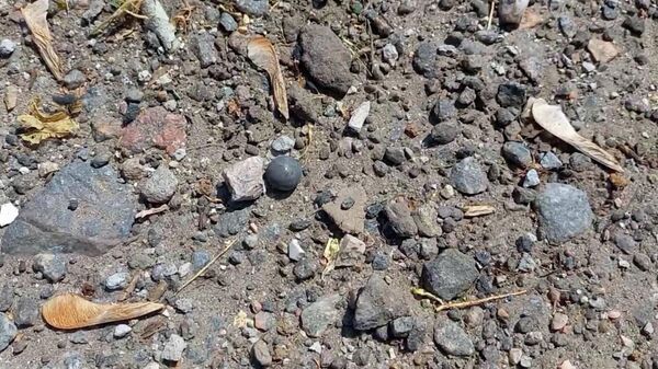 Поражающий элемент взорвавшейся бомбы с места теракта в Мелитополе