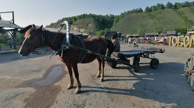 Повозка в парке Тобол