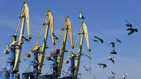 Краны в порту Бердянска