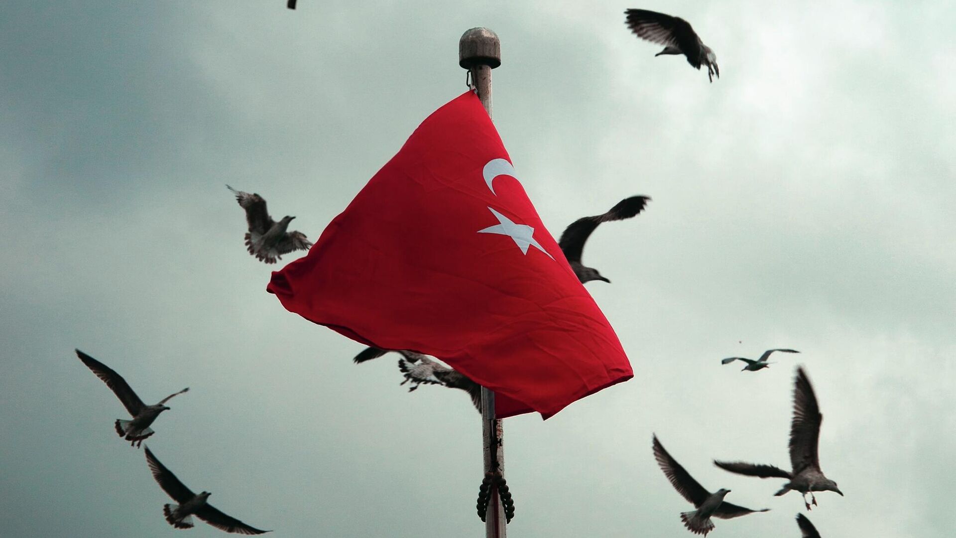 Флаг Турции - РИА Новости, 1920, 16.07.2022