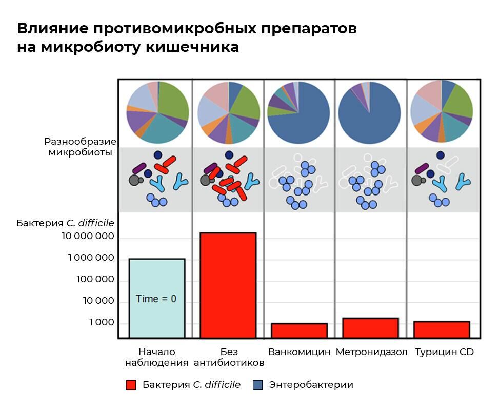 Воздействие антибиотиков через 24 часа после приема - РИА Новости, 1920, 03.06.2022