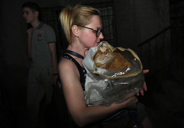 Девушка с кошкой на улице возле дома, пострадавшего в результате обстрела ВСУ Донецка