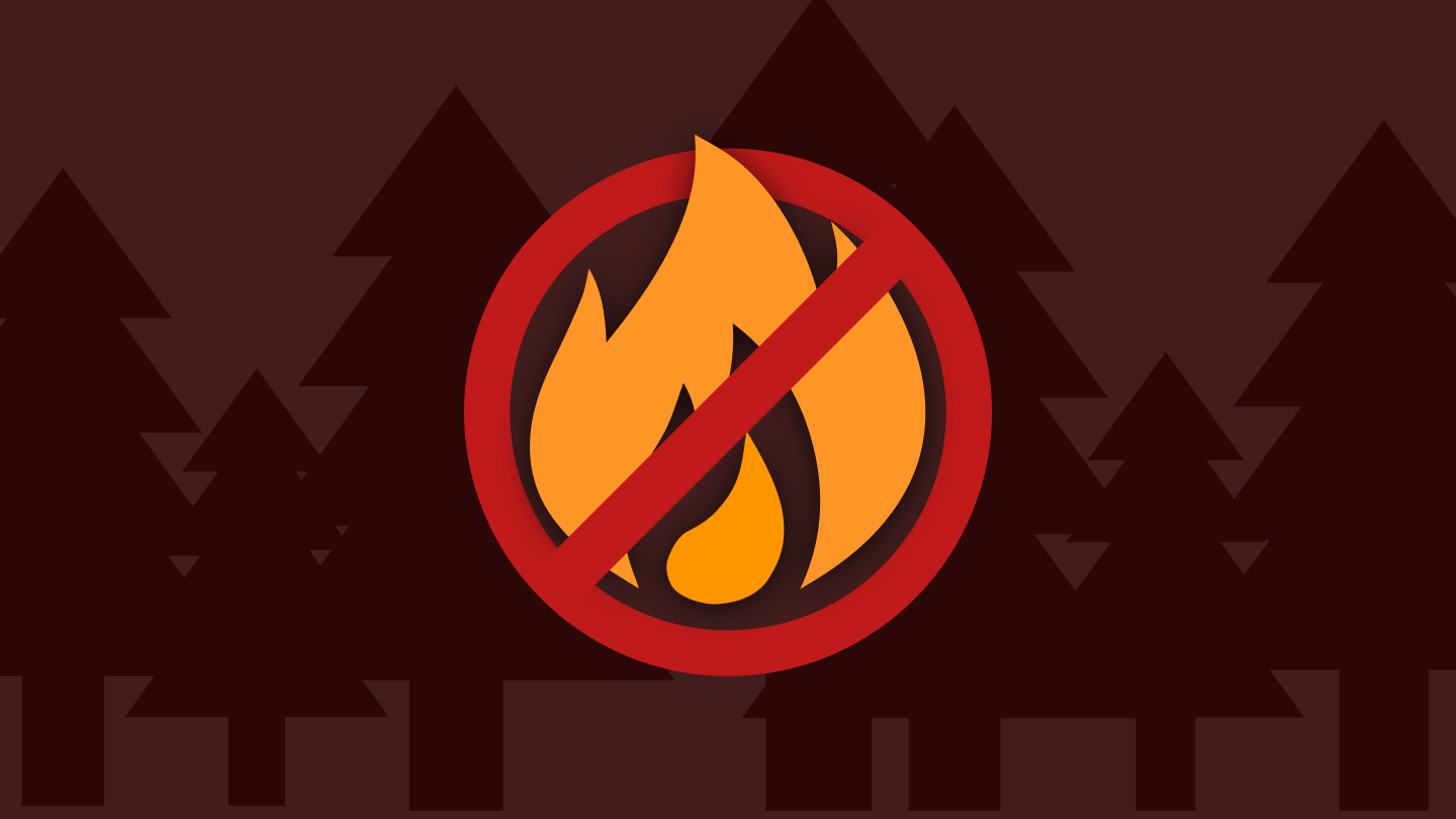 Как изменились штрафы за нарушение правил пожарной безопасности в лесах