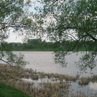 Донской рукав Шатского водохранилища — место, где находилось Иван-озеро Донской рукав Шатского водохранилища — место, где находилось Иван-озеро