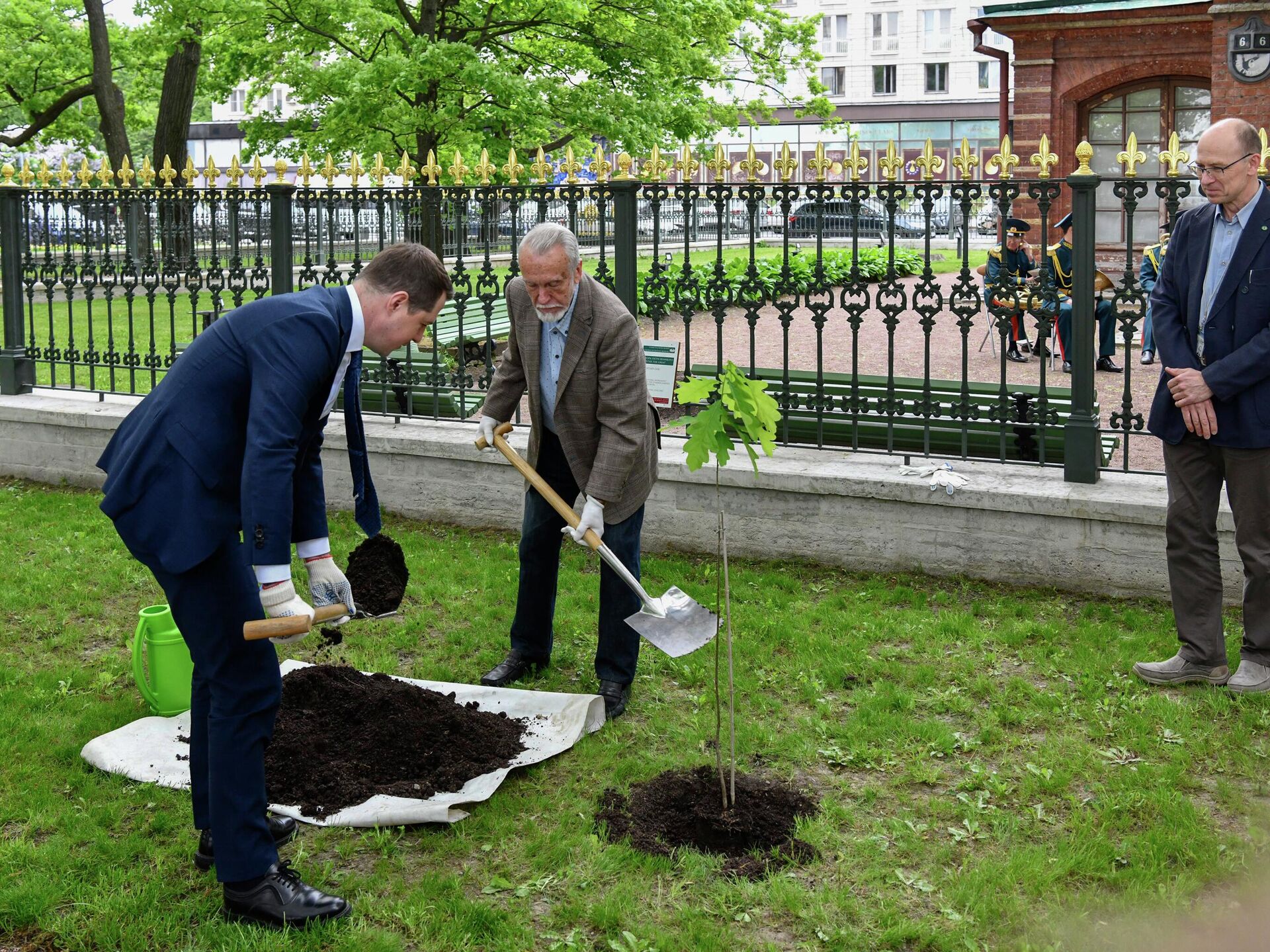 петровский дуб на каменном острове