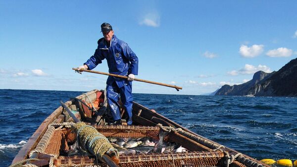 Японский рыбак ловит лосось у Охотского побережья острова Кунашир