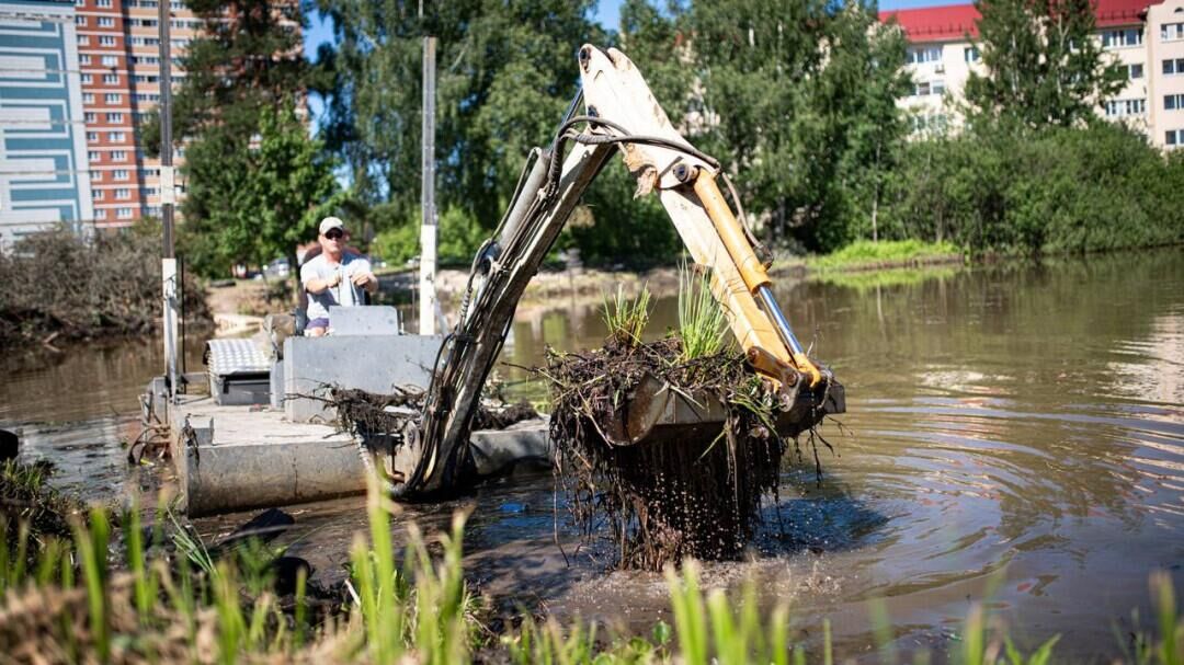 Очистка пруда в Богородском округе Ногинского района Московской области - РИА Новости, 1920, 14.06.2022