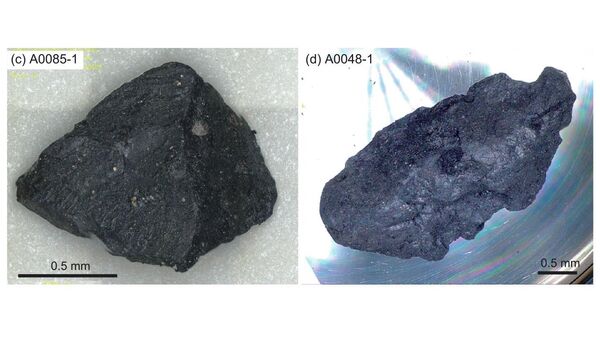 Особенности частиц грунта астероида Рюгу под оптическим микроскопом: вкрапления карбонатов и сульфидов железа