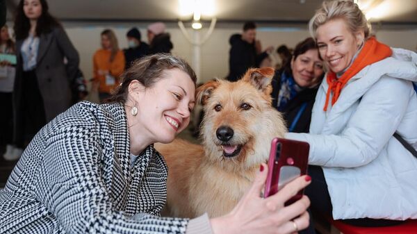 Фонд Собаки, которые любят и ТРЦ Бутово Молл проведут Фестиваль по пристройству животных из приютов