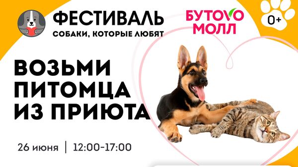 Фонд Собаки, которые любят и  ТРЦ Бутово Молл проведут Фестиваль по пристройству животных из приютов