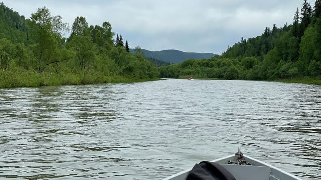 Вид на реку в Шорском национальном парке