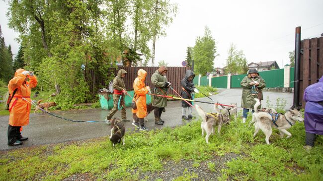 Туристы готовятся к дог-трекингу