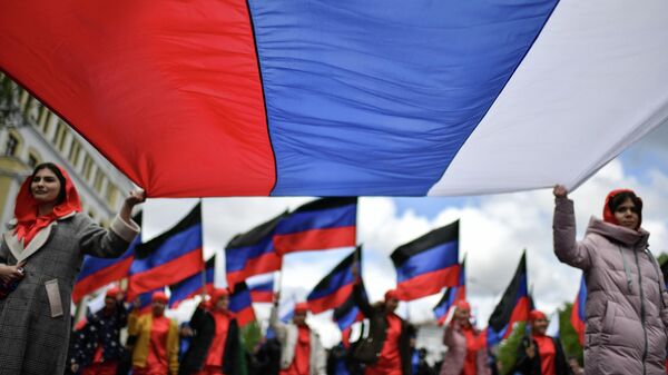 ОП ДНР единогласно проголосовала за обращение к Пушилину по референдуму