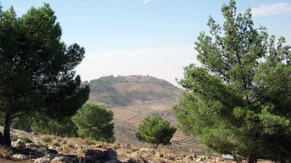 Вид на гору Нево в Иордании 