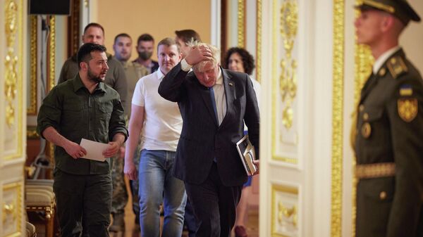 Премьер-министр Великобритании Борис Джонсон и президент Украины Владимир Зеленский во время встречи в Киеве