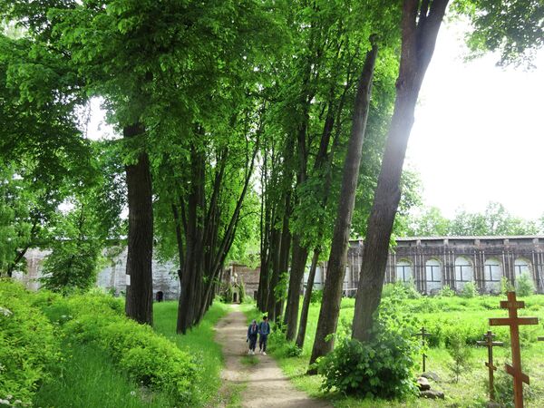 Борисоглебский монастырь, липовая аллея Борисоглебский монастырь, липовая аллея