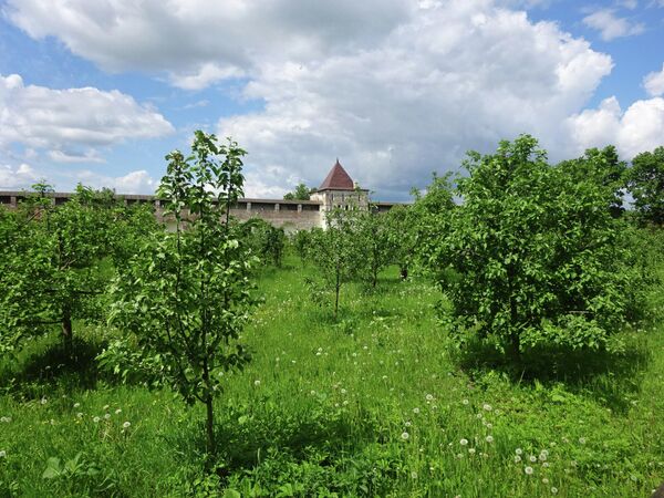 Борисоглебский монастырь, сад Борисоглебский монастырь, сад