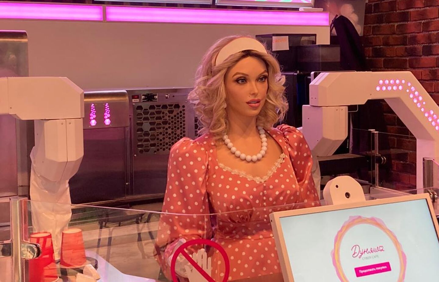 Человекоподобный робот Дуняша Человекоподобный робот Дуняша