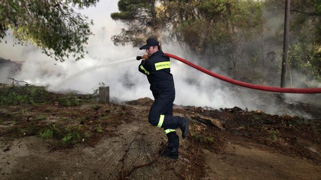 Тушение лесного пожара в Греции