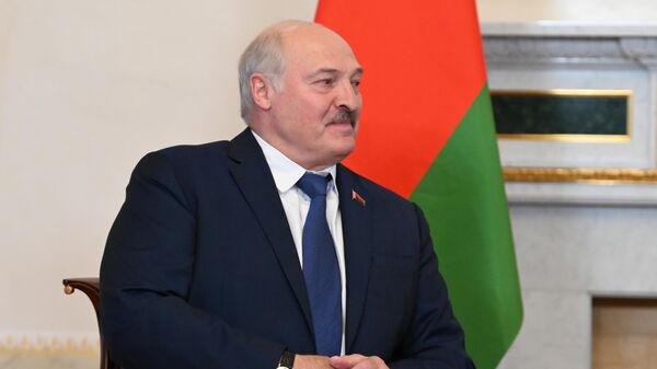 Президент Белоруссии Александр Лукашенко во время встречи с президентом РФ Владимиром Путиным