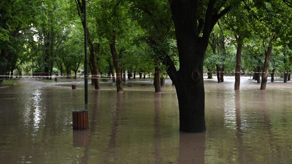 Подтопленная территория в парковой зоне Симферополя после прошедших сильных дождей