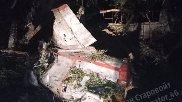 Обломки украинского беспилотника Стриж Ту-141, сбитого в Курской области