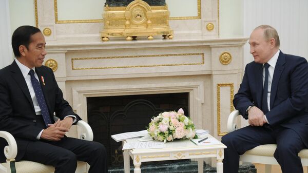 Президент РФ Владимир Путин и президент Индонезии Джоко Видодо во время встречи в Москве