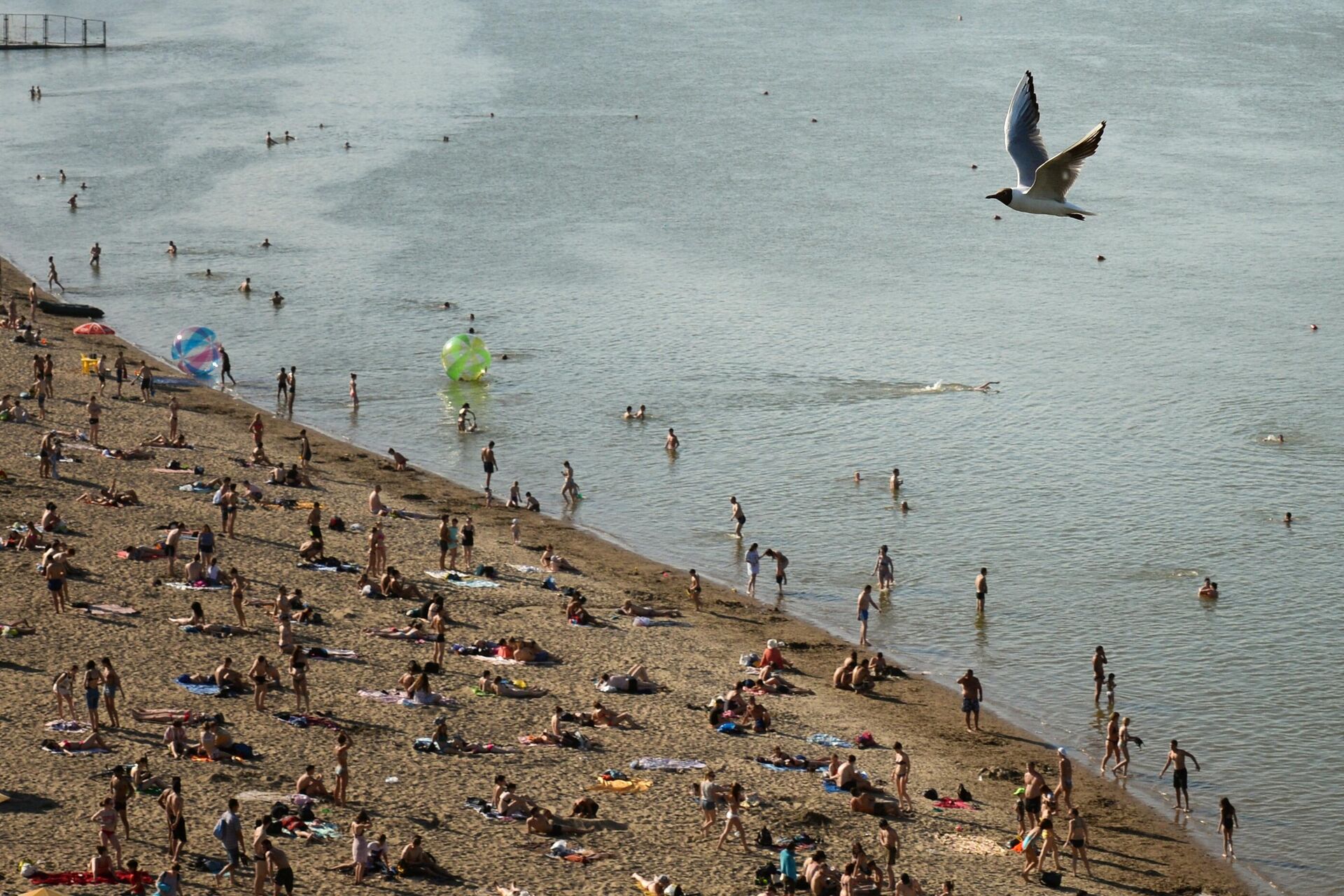 Отдыхающие на центральном городском пляже на реке Обь в Новосибирске - РИА Новости, 1920, 01.07.2022
