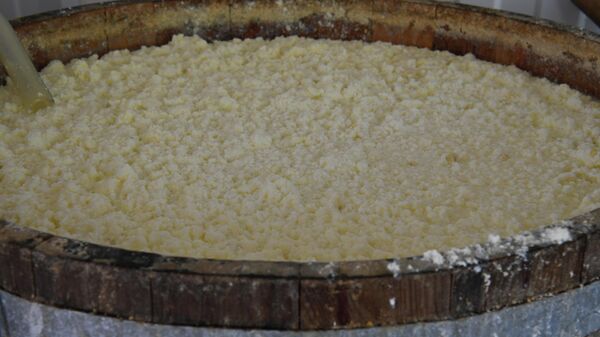 Производство традиционного алтайского сыра курут на семейной сыроварне А. Мехова в селе Камлак в Республике Алтай