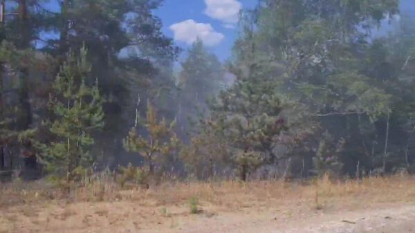 Кадры обстрела леса зажигательными снарядами под Лисичанском