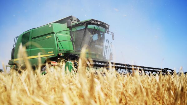 Комбайн собирает урожай пшеницы в Мелитопольском районе Запорожской области