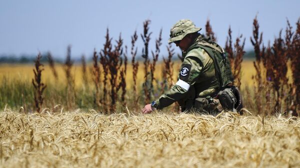 Военнослужащий ВС РФ во время сбора урожая пшеницы в Мелитопольском районе Запорожской области
