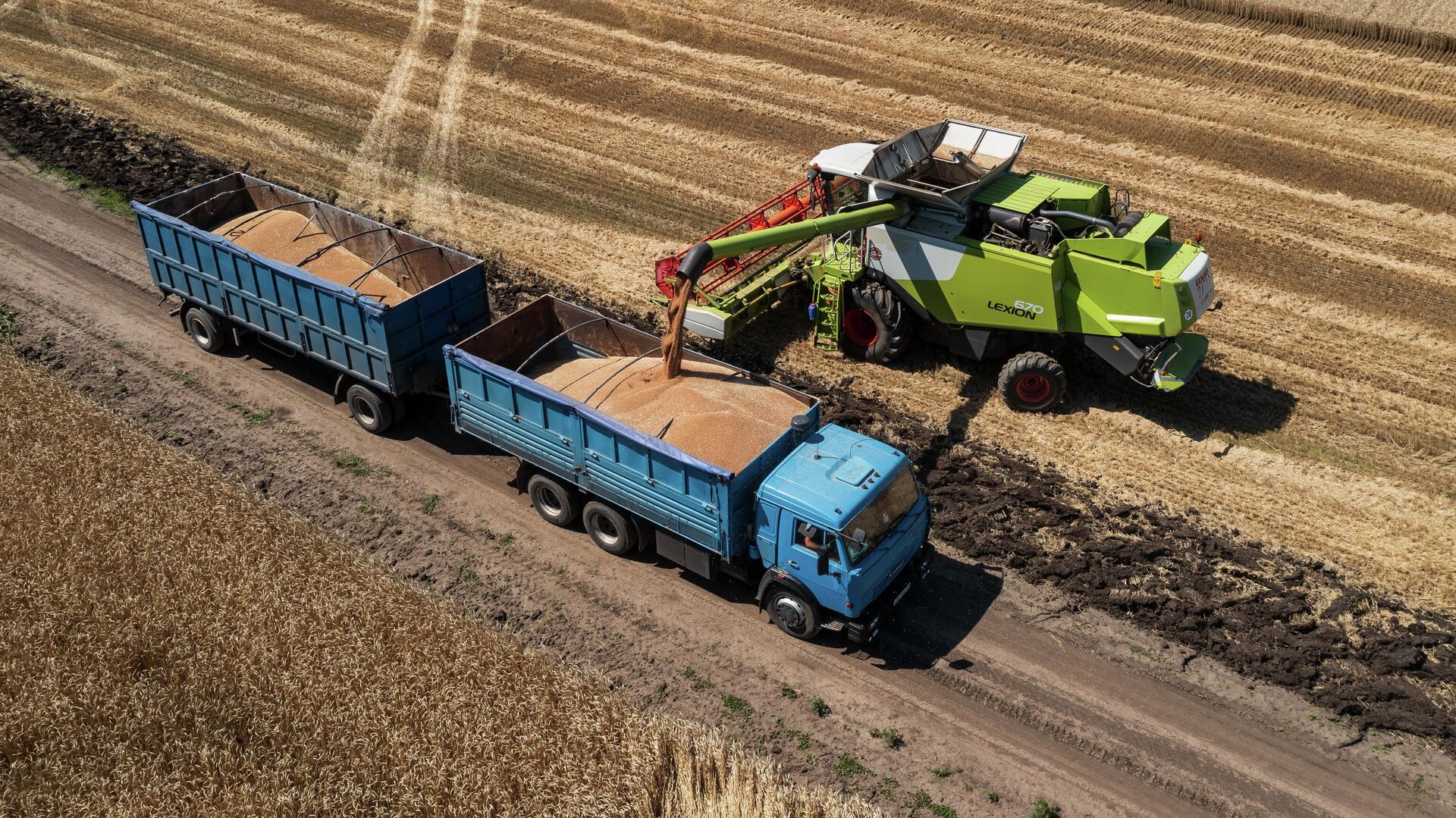 Комбайн выгружает собранную пшеницу в грузовик на уборке озимой пшеницы в Краснодарском крае - РИА Новости, 1920, 05.07.2022