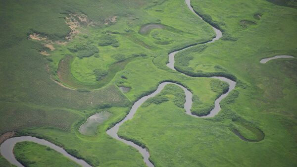 Вид на одну из рек в Кроноцком государственном природном биосферном заповеднике на Камчатке