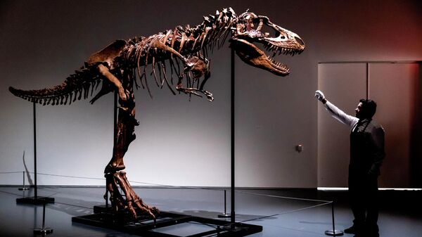 Сотрудник Sotheby's в Нью-Йорке рядом со скелетом динозавра