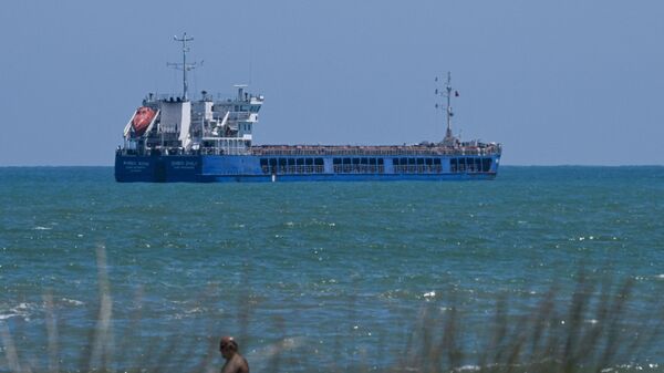 Грузовое судно Жибек Жолы у побережья Черного моря в Турции