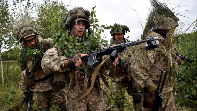 Военнослужащие во время совместных учений Украины и стран НАТО 