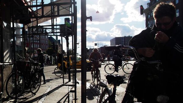 Велосипедисты на одной из улиц Копенгагена