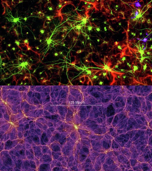 Нейроны мозга и модель вселенной