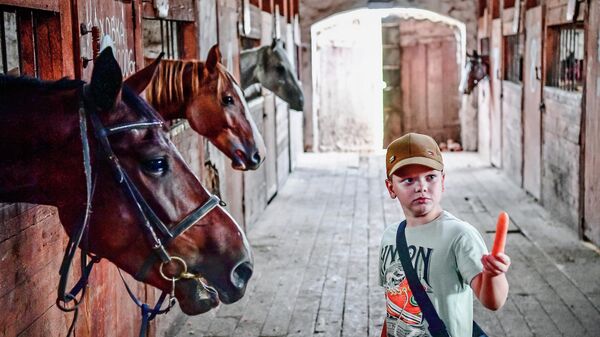 Мальчик кормит лошадей на территории исторического конезавода Медведки в Костромской области