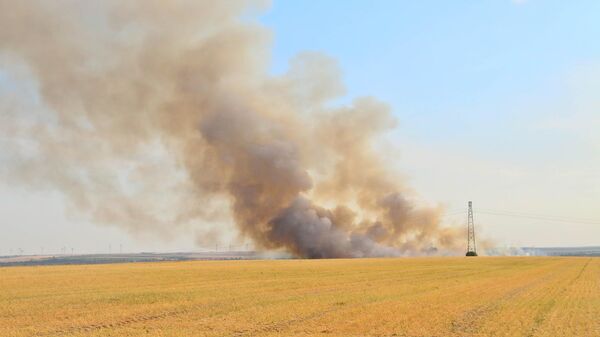 Пожар на пшеничном поле