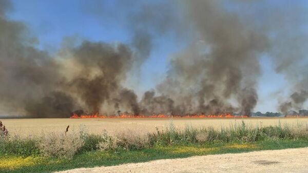 Пожар на пшеничном поле в Херсонской области