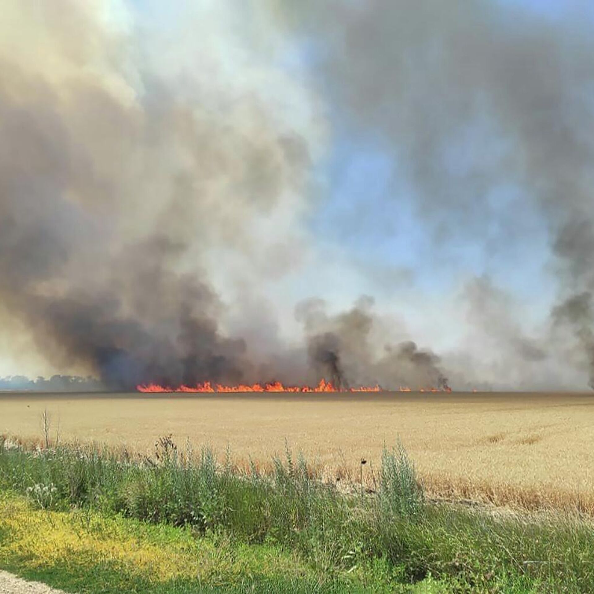 Украина начала поджигать поля с пшеницей на границе с Херсонской областью - РИА Новости, 13.07.2022