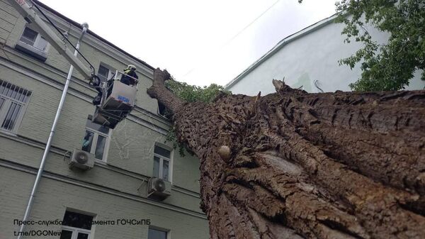 Упавшее дерево на фасад дома в Тверском районе