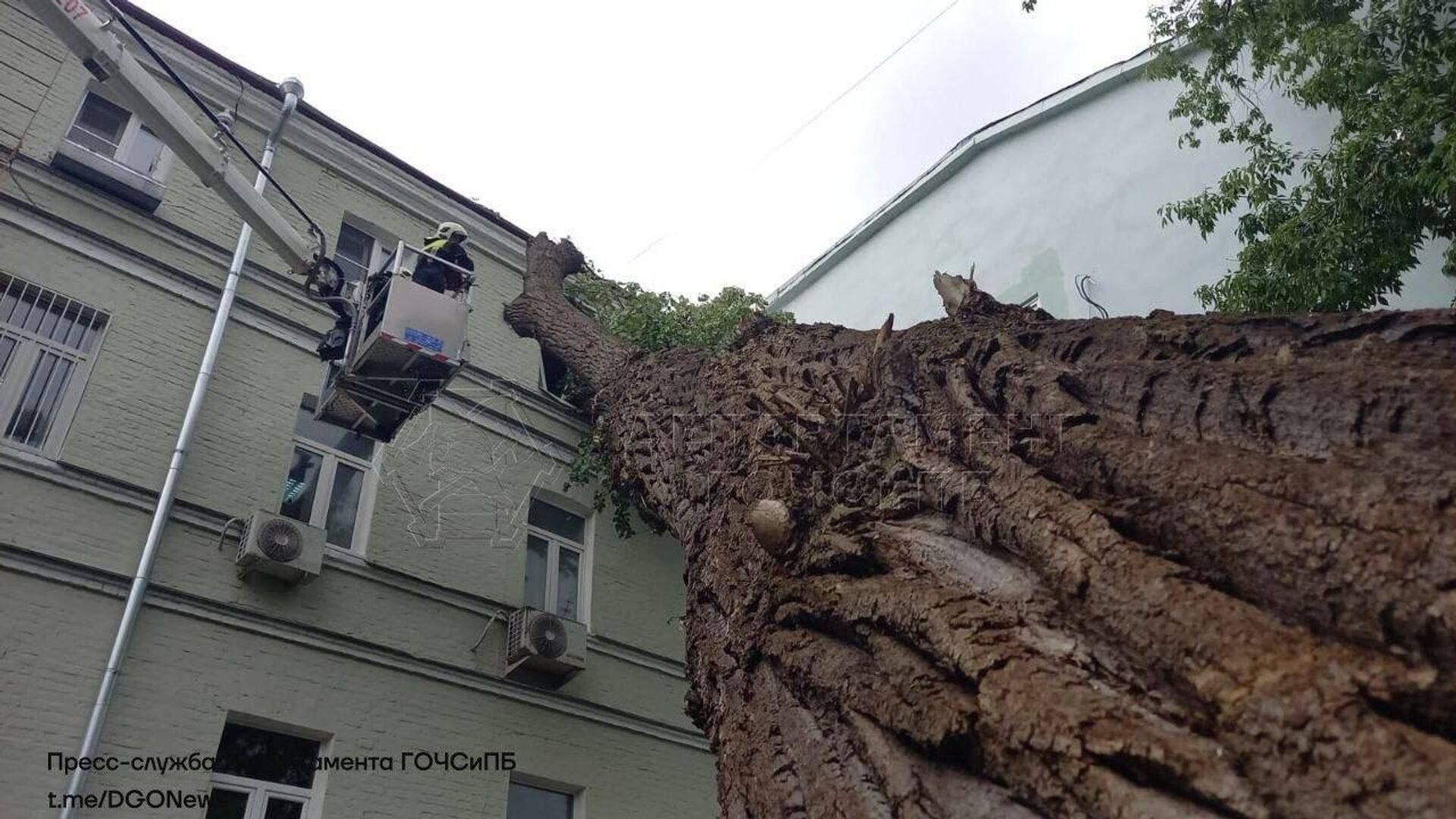 Упавшее дерево на фасад дома в Тверском районе - РИА Новости, 1920, 14.07.2022