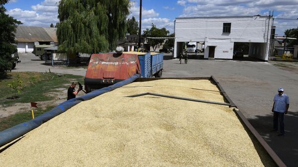 В Запорожской области заявили о готовности экспортировать зерно в Китай