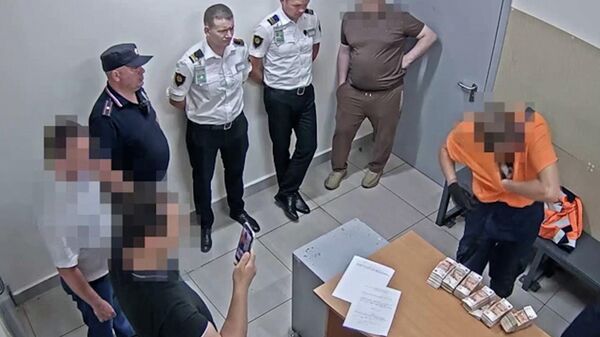 21 миллион рублей под футболкой: грузчик Шереметьево украл деньги из багажа пассажира